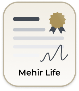 Mehir Hayat